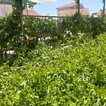 Sfinga Apartamento